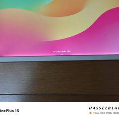 iPad Pro 12.9インチ 第2世代 512GB セルラー(Docomo版) 軽度訳アリの画像