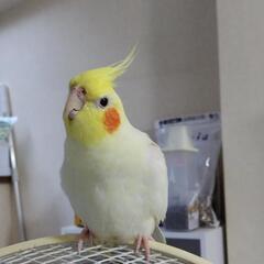 孤独で辛いです