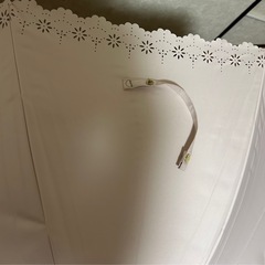 日傘　8月10日までの画像
