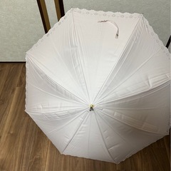 日傘　8月10日までの画像