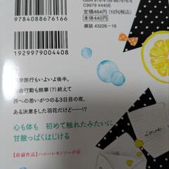 ハニーレモンソーダ16巻の画像