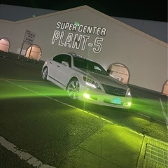 ロイヤルガード ライムイエローフォグの画像
