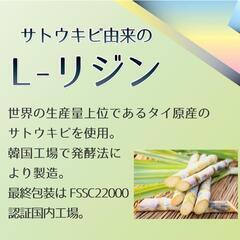 JAY&CO. サトウキビからできた リジン 無加工100％パウダー (250g)の画像