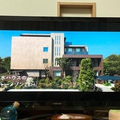 【43型TV】TOSHIBA REGZAの画像