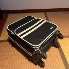 キャリーバックの画像