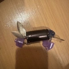 ビックバド チューン品の画像