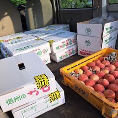 朝採れ！信州桃の直売会開催のお知らせ📢