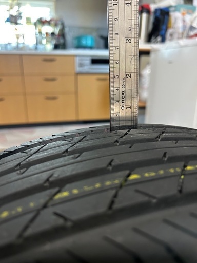 Bridgestone TURAUZA トランザ205/55R17