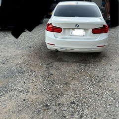 BMW F30 320d の画像