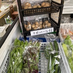 無人100円野菜無農薬の画像
