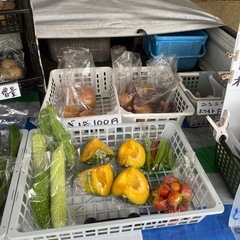 無人100円野菜無農薬の画像