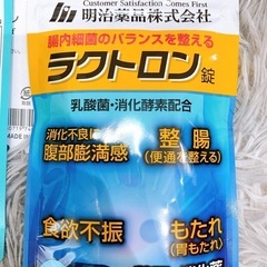 新品未開封　ラクトロン錠 180錠 乳酸菌・消化酵素配合+ハーブティー+ハンカチの画像