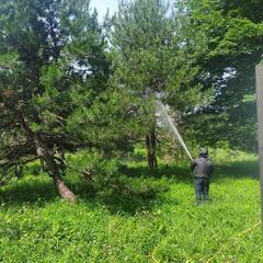 造園業の画像