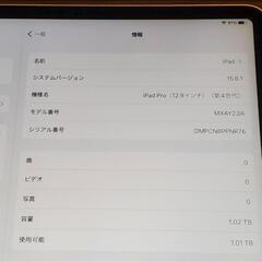 【極美品】iPad Pro 第4世代 1TB A2229 03-732の画像