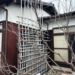 ゴーヤ棚？柵‼️の画像