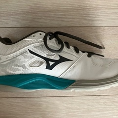 MIZUNOスニーカーの画像