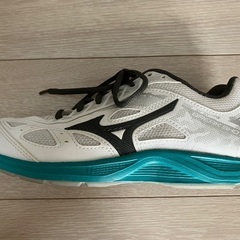 MIZUNOスニーカーの画像