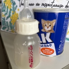 急募‼️仔猫用ミルク(哺乳瓶)セットの画像