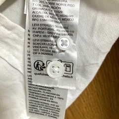 リーバイス　Levi's クラシック　白系 長袖シャツ　レディス　Lサイズ:スペアボタン大小1個ずつ付きの画像