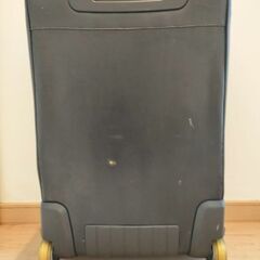 innovator イノベーター ソフトキャリーケース スーツケースの画像