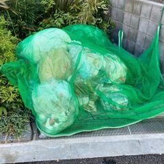 【八広駅】 【月約4万円】【週5日×朝1.5時間】マンション清掃/未経験者可～日払い可(八広1)の画像