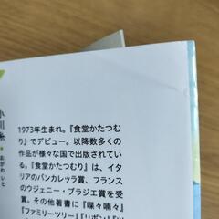 ライオンのおやつの画像