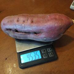 紅はるか🍠最安値20kg6000円 終了間近の画像