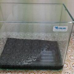 ミニ水槽の画像