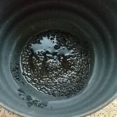 ラメ入りメダカ鉢の黒色🉐の画像