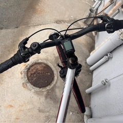 🔥早い者勝ち🔥マウンテンバイクの画像