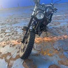 【イギリス発祥スクランブラー】MUTT Akita250  の画像