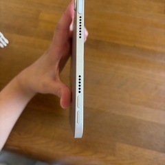 iPad miniの画像