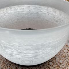 メダカ鉢の半透明白色の画像