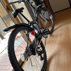 ブリヂストン　24インチ　ジュニアマウンテンバイクの画像