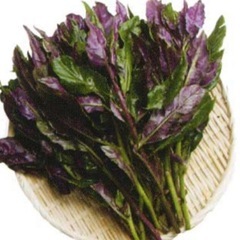 無農薬　夏野菜色々　10月までの画像