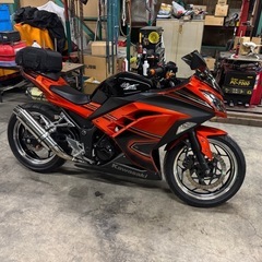 ninja250ex SE ローダウンの画像