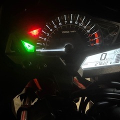 ninja250ex SE ローダウンの画像