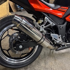 ninja250ex SE ローダウンの画像