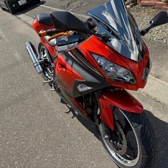 ninja250ex SE ローダウンの画像