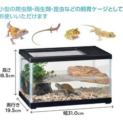 レプテリアツインビューの画像