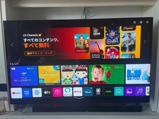 【LG】55型 有機ELテレビ OLED 55E9PJA