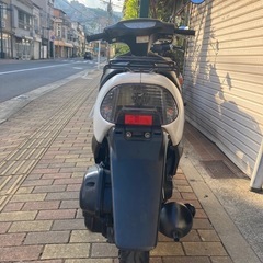 原付　ホンダ　ライブディオの画像