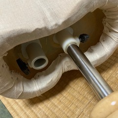 トルソー　難ありの画像