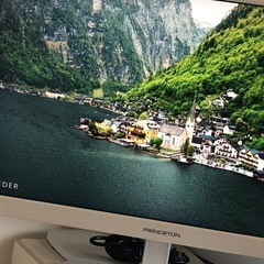 PRINCETONプリンストン 21.5インチ液晶モニター PTFWDE-22Wの画像