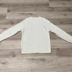 CHIAMPION(チャンピオン)トレーナーの画像