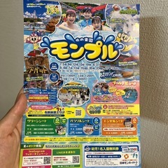 モンキーパーク　プール　幼児無料券の画像