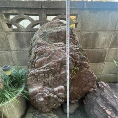庭石の画像
