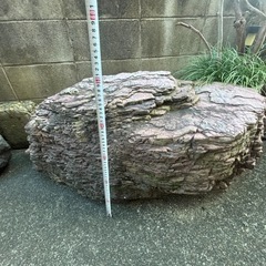庭石の画像