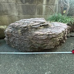庭石の画像