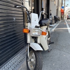 CF50シャリー中古の画像